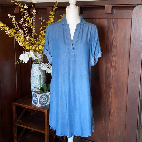 chelsea and theodore denim dress